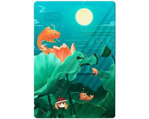 铜川市西部数据My Passport随行版 鱼跃龙门